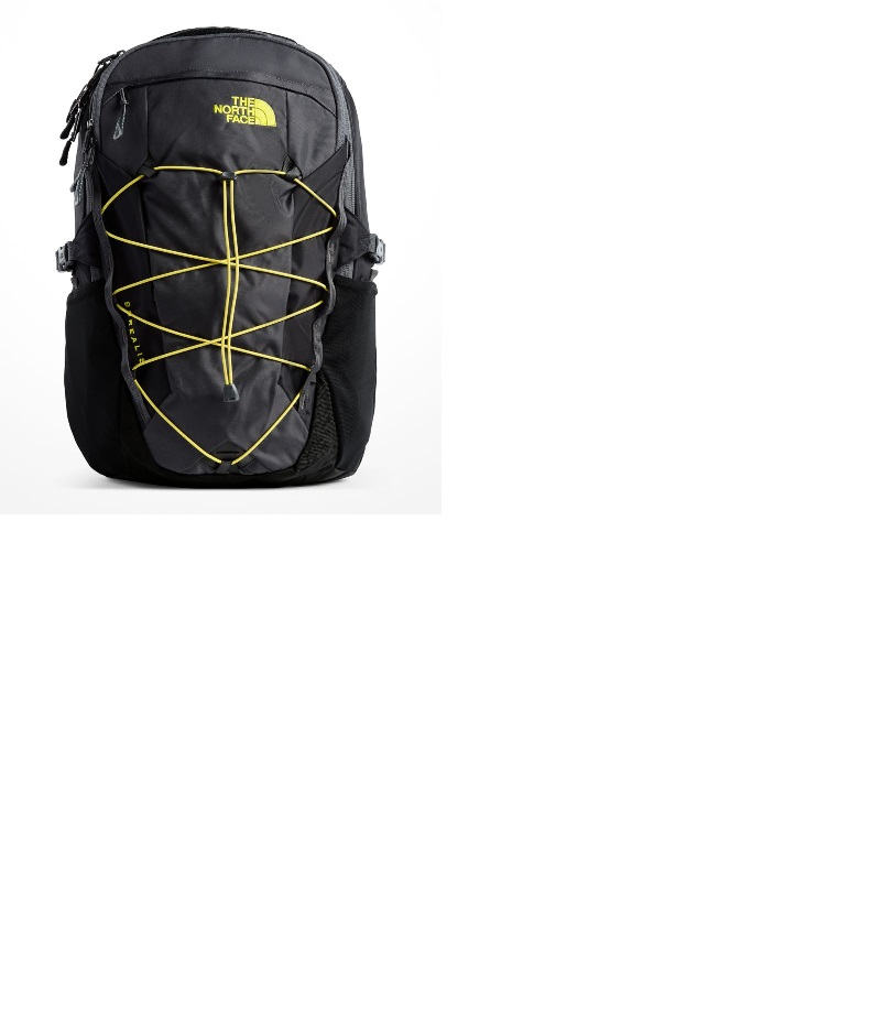 The North Face Borealis Sırt Çantası